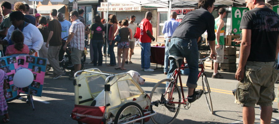 Selecting The Best Bicycle Trailer For Dogs