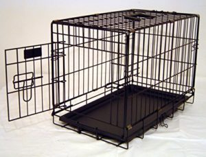 Best Dog Cage For Shih Tzu