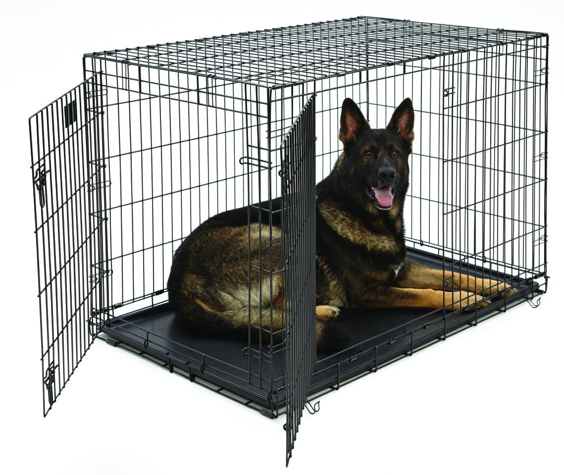 Best Dog Crate For Husky - Dog N Treats