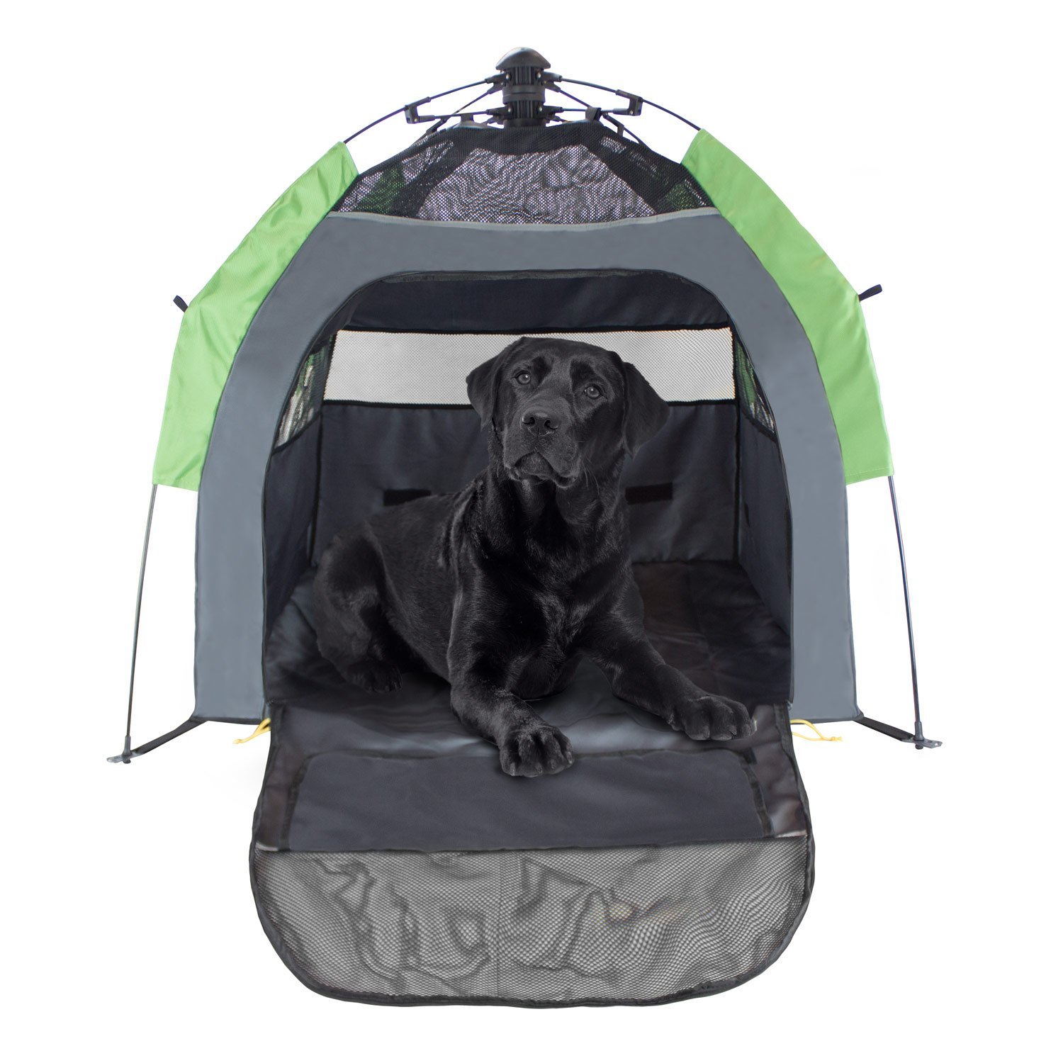 travel dog tents