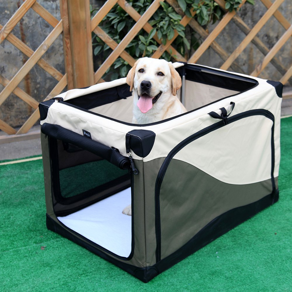 Dog Crate For Border Collie Dog N Treats