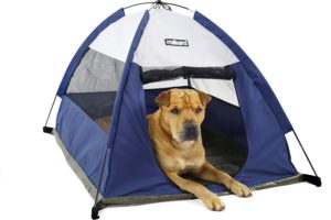 Best Tent For Camping With Dogs