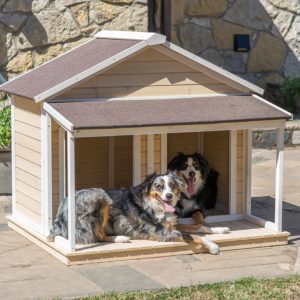 Best Dog House For Mastiff