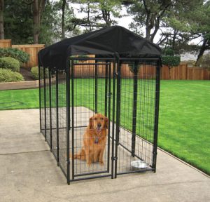 Best Working Dog Crates