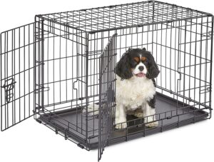 best dog crate for border collie