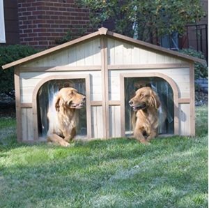 Dog House For Two Large Dogs