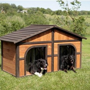 Dog House For Two Large Dogs