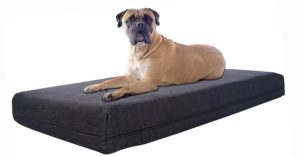 Washable Orthopedic Dog Bed Review