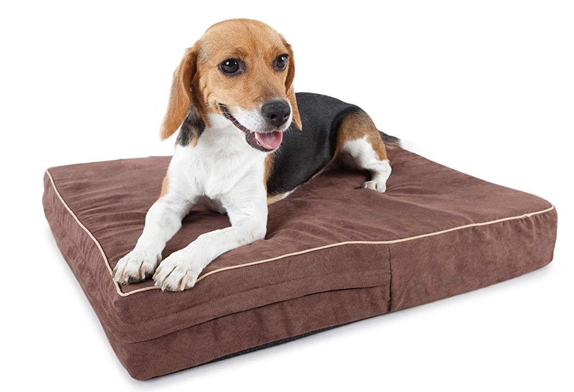 Washable Orthopedic Dog Bed Review Dog N Treats