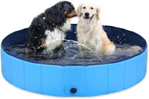 Indoor Pool For Dogs
