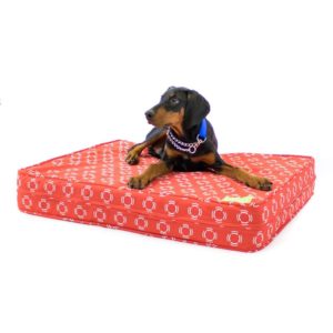 Extra Large Dog Bed Reviews