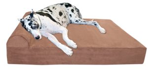 Extra Large Dog Bed Reviews