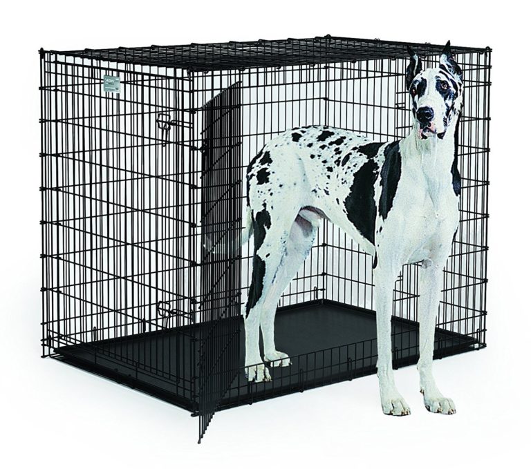 Largest Dog Crate What Is The Biggest Dog Crate Available Dog N Treats   81WfUh79L. SL1500  768x679 