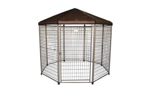Largest dog crate
