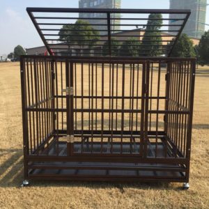 Best Dog Cage For Outside