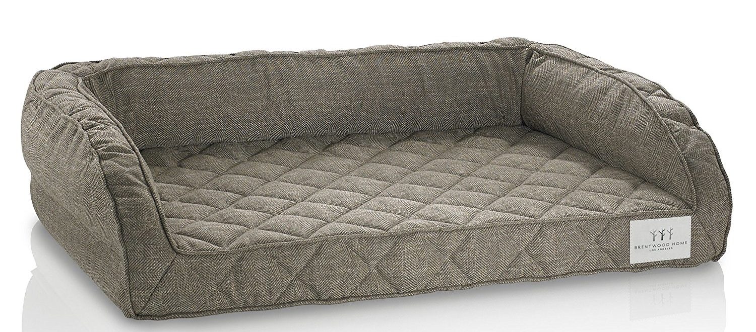 Extra Large Dog Bed Reviews - Dog N Treats