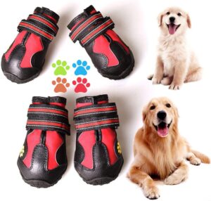 Best Dog Boots That Stay On
