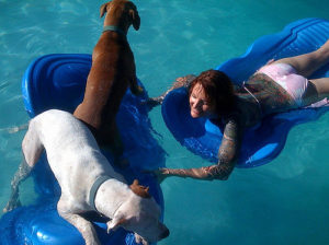 Do Pitbulls Like To Swim?