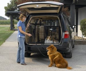 Double Dog Crate For Cars
