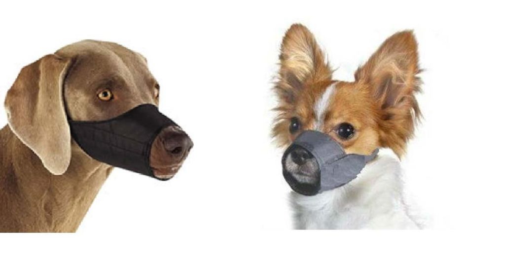 adjustable chihuahua muzzle