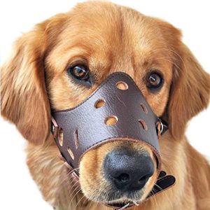 bane dog muzzle for sale