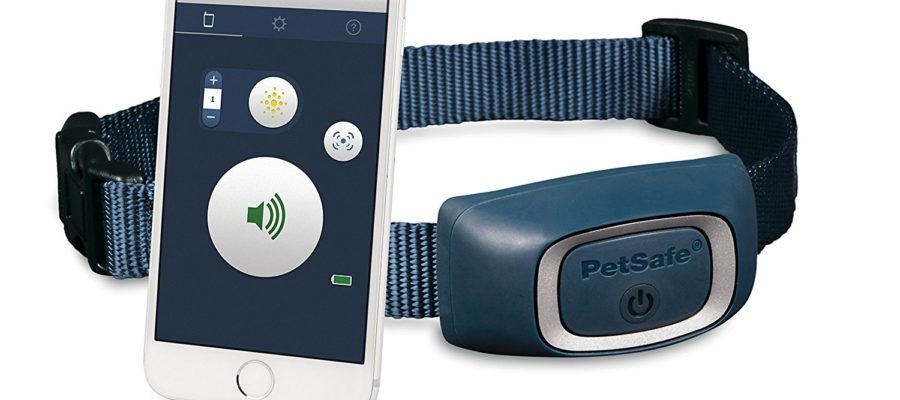 PetSafe SMART DOG Bluetooth Training Collar Review