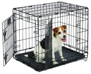 Dog Crates For Jack Russell Terriers