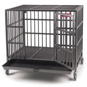 best dog crate for doberman pinscher