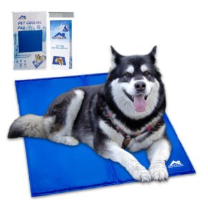 Cooling Dog Bed For Husky To Keep Them Comfortable