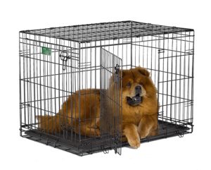 best dog crates for doberman pinscher