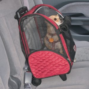 Snoozer Pet Carrier Review