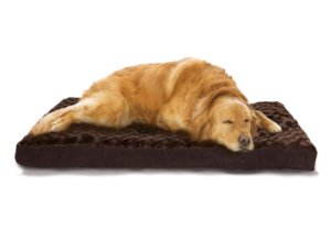 dog bed for Irish Wolfhound