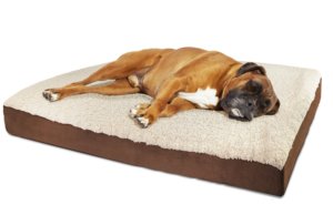 dog bed for Irish Wolfhound