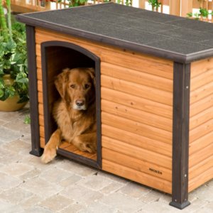 Wooden Dog house Reviews