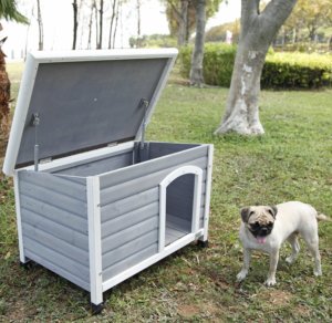 Wooden Dog House Reviews