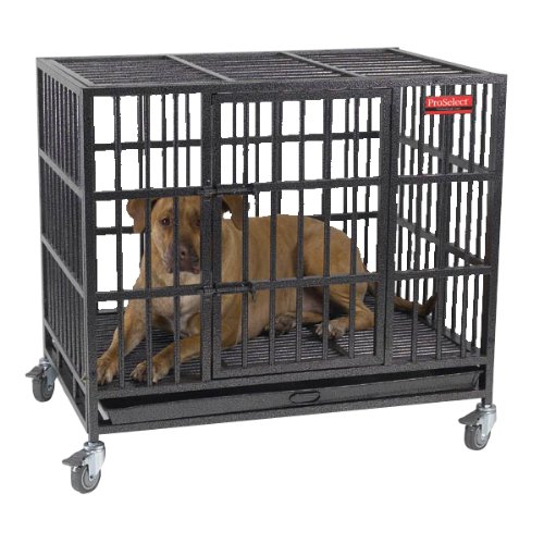 Alcatraz Dog Crate