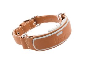 GPS Tracking Collar For Yorkie