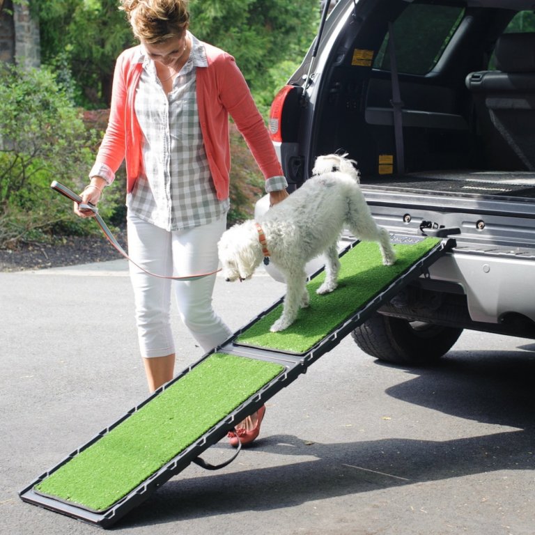 Load Your Dog Onto Truck With Dog Ramp For Truck Dog N Treats