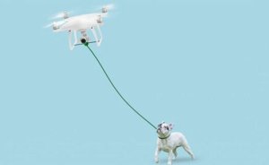 Why Using Drones With Your Dogs Is The Best Thing Ever