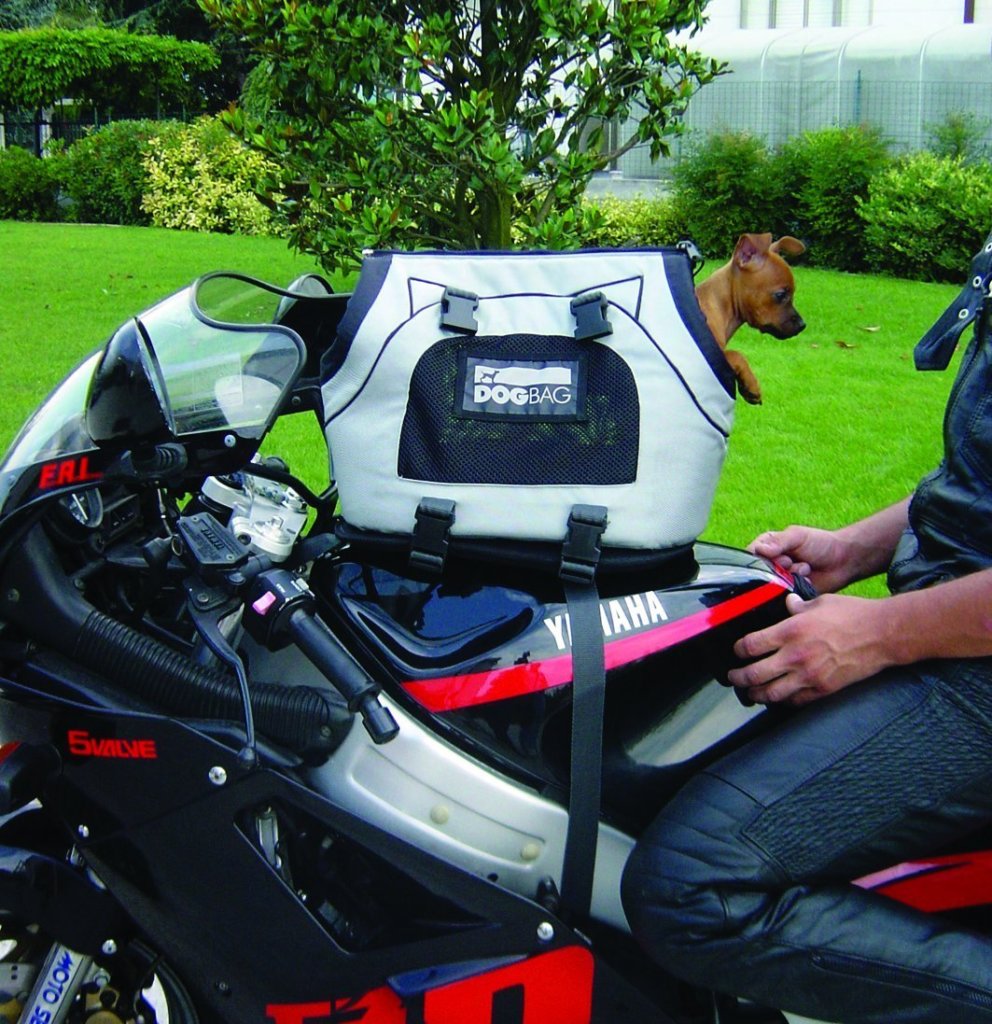 Ride The Motorcycle With The Top 5 Motorcycle Dog Seat - Dog N Treats