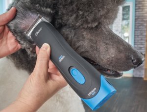 Dog Clippers For Great Pyrenees