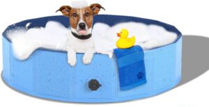 Best Portable Bathtubs For Dogs