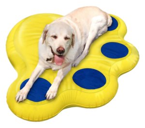 Stylish Dog Beds That Floats On Water