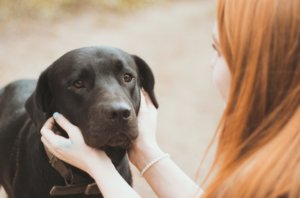 Why Hiking With Your Dog Can Be A Therapeutic Experience