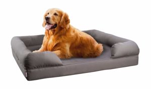 Dog Mattress Bed Reviews For All Dog Owners