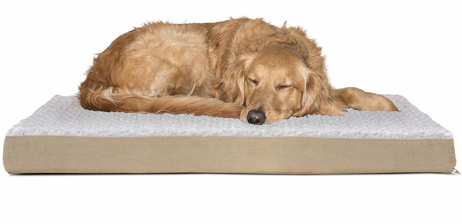 Dog Mattress Bed Reviews For All Dog Owners - Dog N Treats