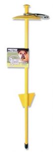 best dog stake for beach