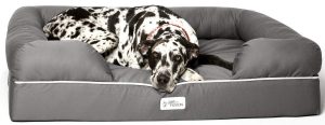 Extra large dog bed for Great Dane