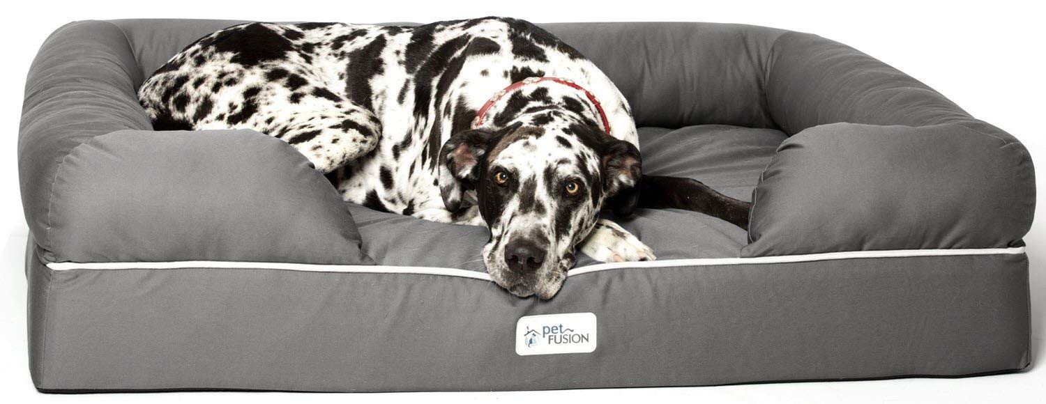 Top 5 Extra Large Dog Bed For Great Danes - Dog N Treats