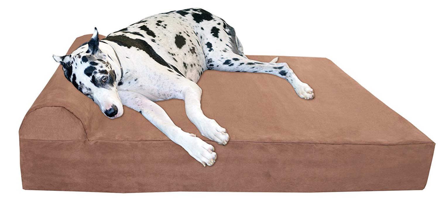 Top 5 Extra Large Dog Bed For Great Danes - Dog N Treats